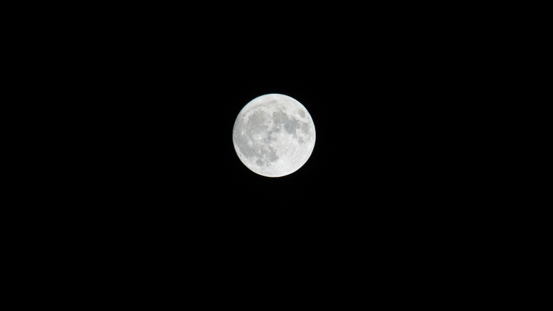 Sigma 70-200 + Kenko 2x (ISO 100 1/60 F4 400mm)